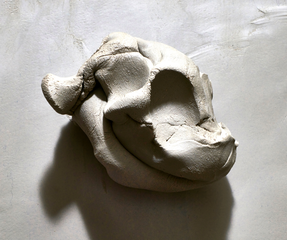 Técnicas proyectivas en Terapia