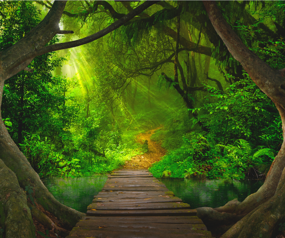 El uso terapéutico de la fantasía dirigida