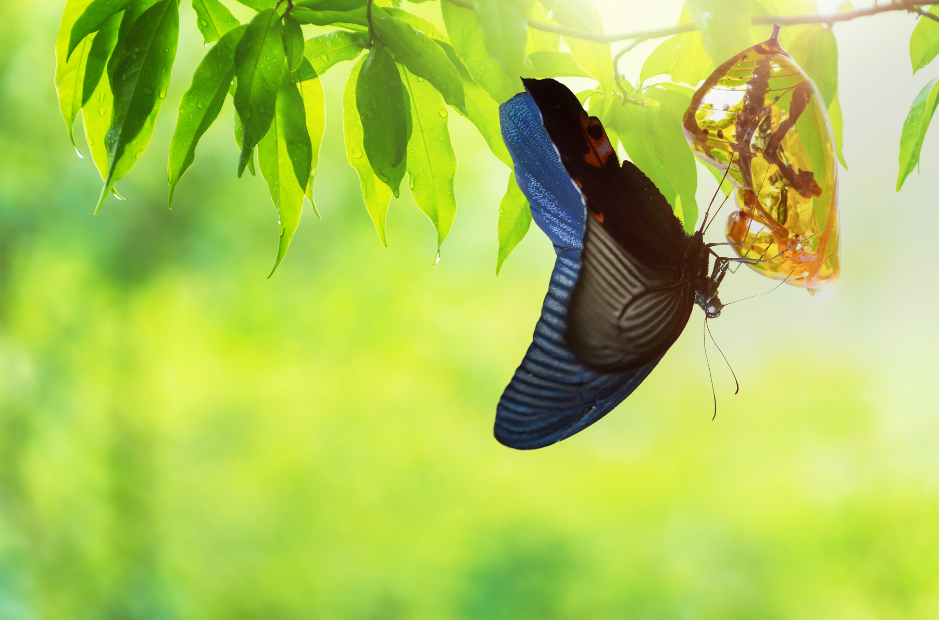 Como hacer cambios en nuestra vida