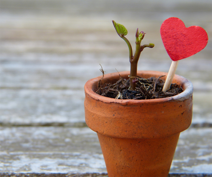 El sentido mágico: la confianza depositada en el terapeuta
